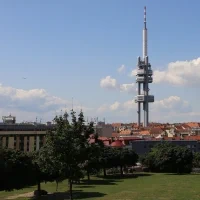 vež paruka